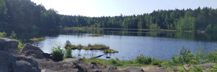 Svartkulp Oslo Norsk Naturistforbund svartkulp-oslo-norsk-naturistforbund