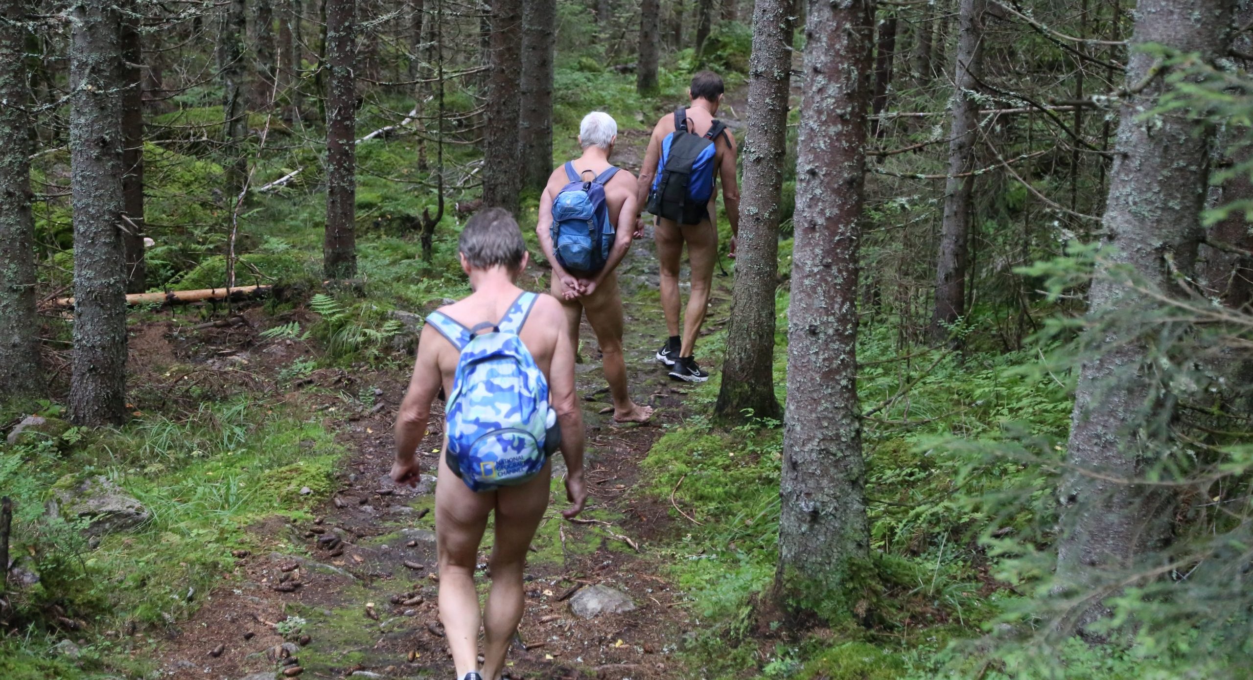 Tre nakne menn med ryggsekker og sko går gjennom en granskog