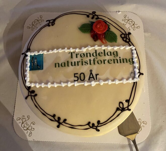 jubileumskake