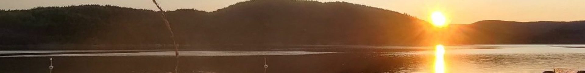 Vestviken naturistforening (VVNF)
