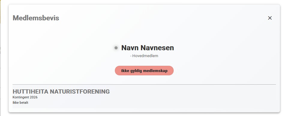 Eksempel på ugyldig medlemskap i SmartOrg